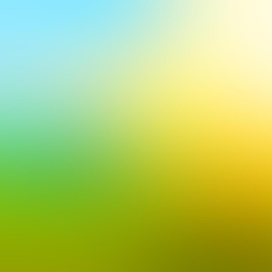 Group logo of The Lost Art of Silence - Sarah Anderson