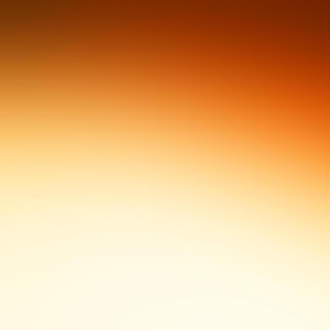 Group logo of We Are the Weather - Jonathan Safran Foer