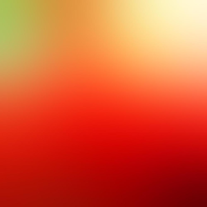 Group logo of On the Origin of Species - Charles Darwin