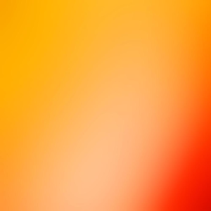 Group logo of The Diet Compass - Bas Kast