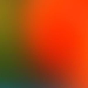 Group logo of The Cactus and Snowflake at Work - Devora Zack