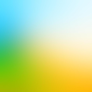 Group logo of The Seven Sins of Memory - Daniel L. Schacter