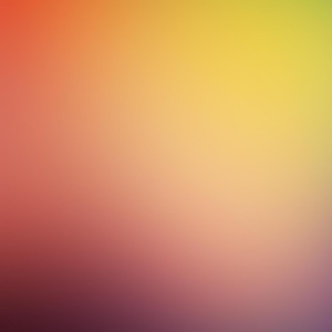 Group logo of We Should All Be Feminists - Chimamanda Ngozi Adichie