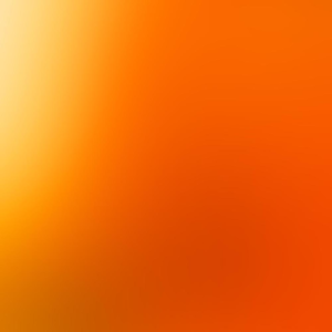 Group logo of The Women of the Bible Speak - Shannon Bream