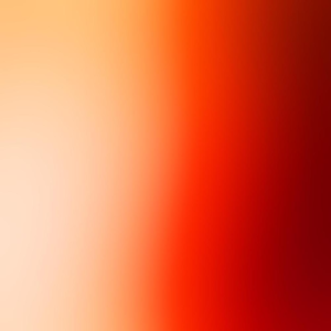 Group logo of Raising Leaders - Wendy Born