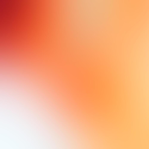 Group logo of Why We Get the Wrong Politicians - Isabel Hardman