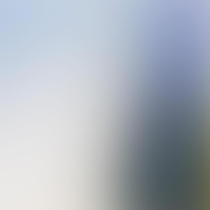 Group logo of The Gatekeepers - Chris Whipple