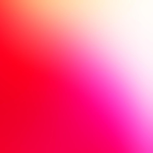 Group logo of The Big Necessity - Rose George