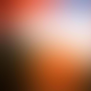 Group logo of The Stakeholder Strategy - Ann Svendsen