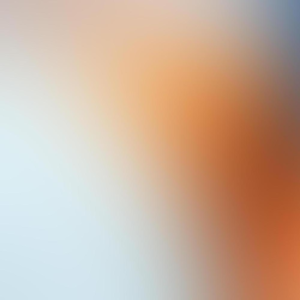 Group logo of Real Love - Sharon Salzberg